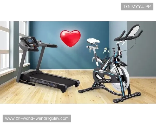 酒店健身器材举重设备及高效训练方案