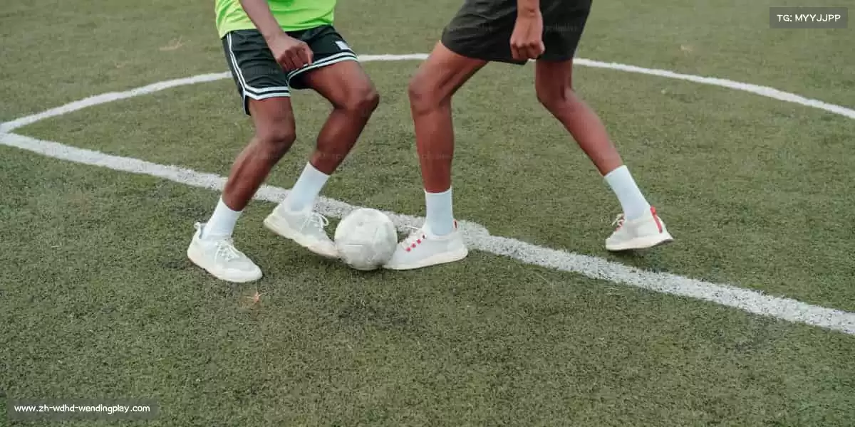 问鼎娱乐——运动赋能,解锁无限可能!✨